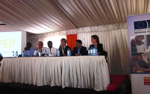 Panelists:Ernest Muwamba, Zambia Business in Development Facility; Arjan Schuthof, the Dutch Ministry of Foreign Affairs; Sitali Muyatwa, Water and Sanitation for All; Petra Künkel, CLI; Eddine Sarroukh, Philips Africa; Dr. Anne Ellersiek, SFB700/SWP