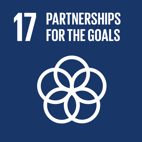 SDG goal 17: Partnerships for the goals