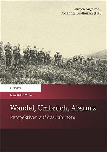 Cover: Wandel, Umbruch, Absturz. Perspektiven auf das Jahr 1914