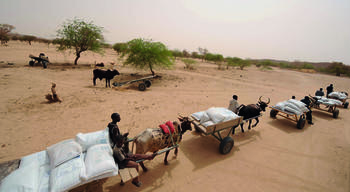 Niger: Notfallhilfe für besonders schutzbedürftige Gruppen