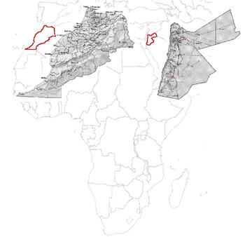 Forschungsregion B6